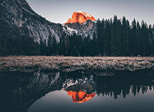 郑钦文将缺席十五运会网球比赛